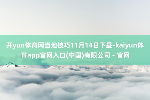 开yun体育网当地技巧11月14日下昼-kaiyun体育app官网入口(中国)有限公司 - 官网