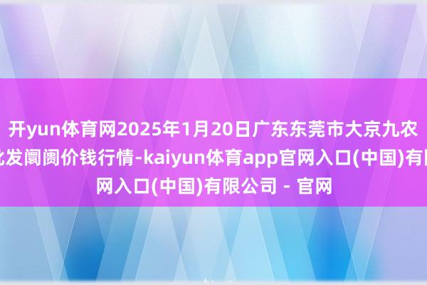 开yun体育网2025年1月20日广东东莞市大京九农副家具中心批发阛阓价钱行情-kaiyun体育app官网入口(中国)有限公司 - 官网